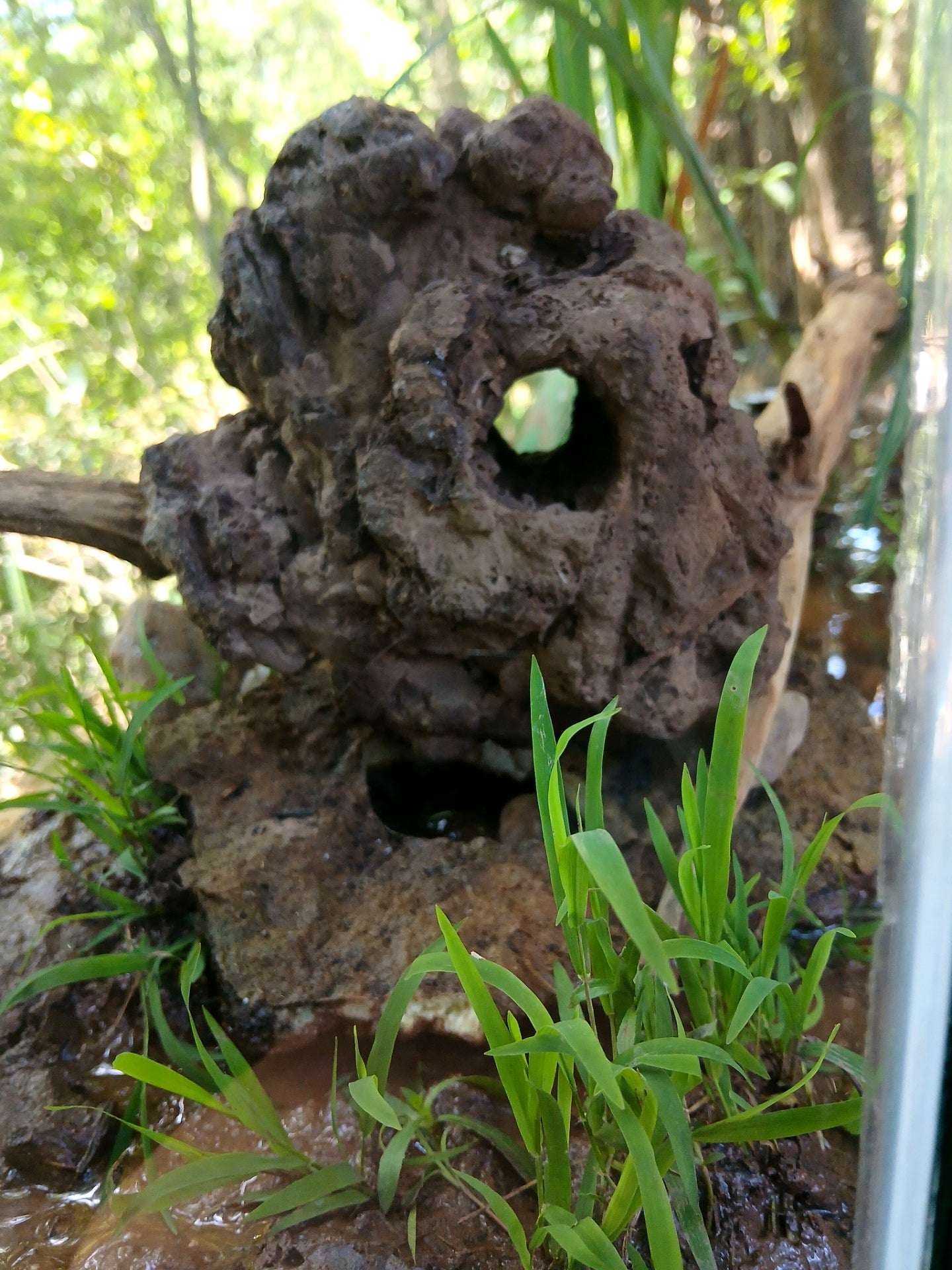Natural Aquarium Decor Cave/ Hide for Shrimp, Betta and Crawfish "handcrafted  process"