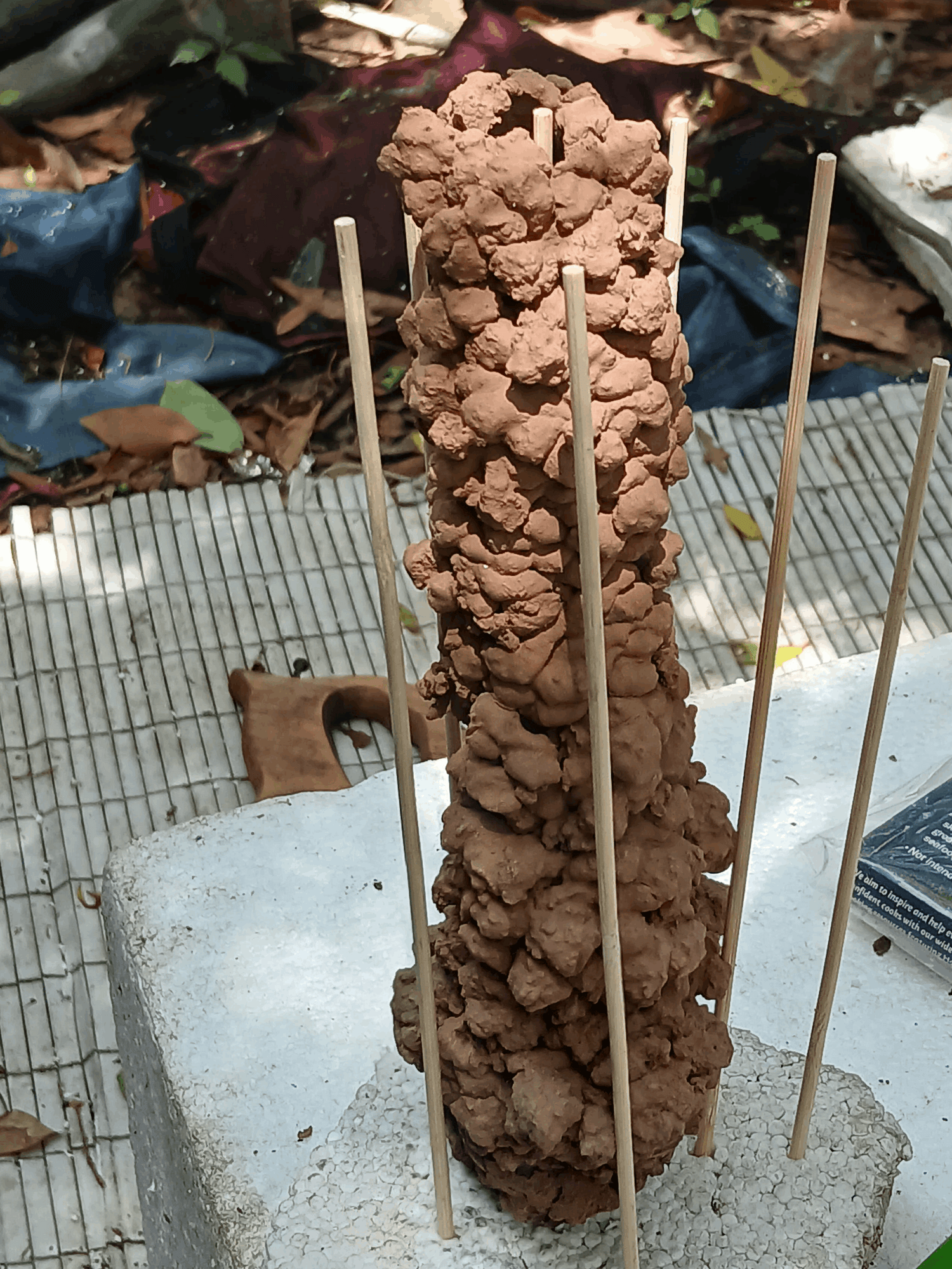 Natural Crawfish Burrow/ Tower - "Wild Harvested" Natural Aquarium Decor