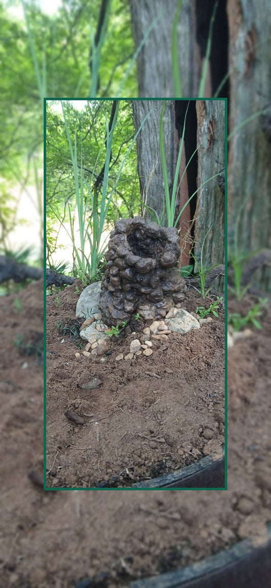 Natural Aquarium Decor Cave/ Hide for Shrimp, Betta and Crawfish "handcrafted  process"